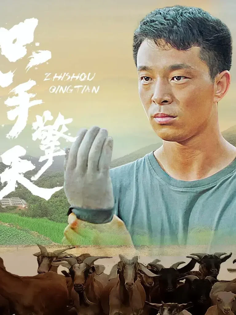 《只手擎天》全集高清完整版在线观看与剧情解析