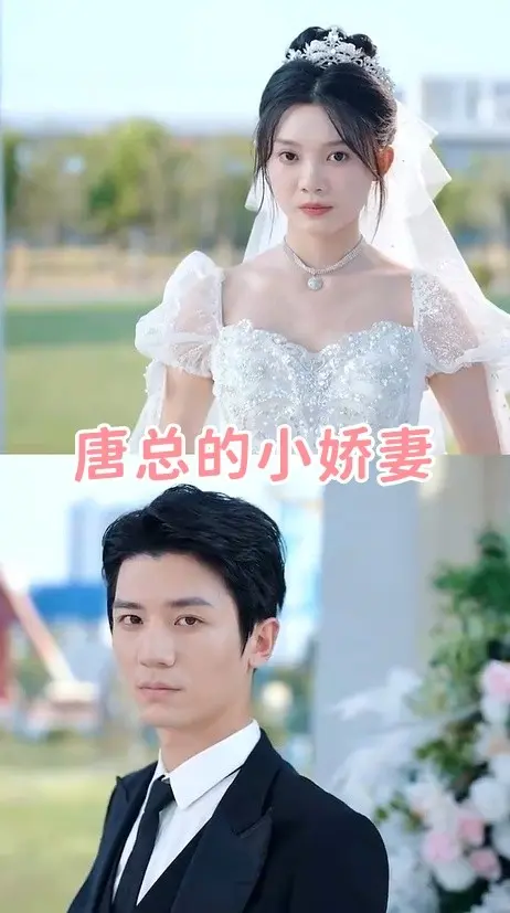 《唐总的小娇妻》深度内容解析