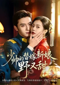 少帅的替嫁新娘野又甜