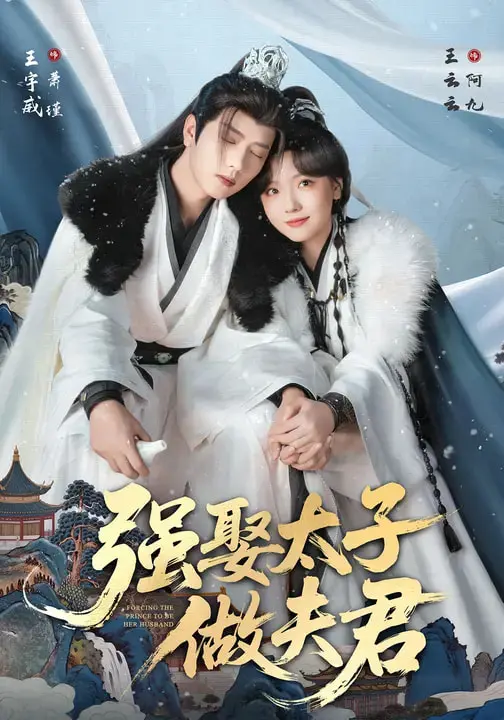 《强娶太子做夫君》全集高清完整版在线观看与剧情解析