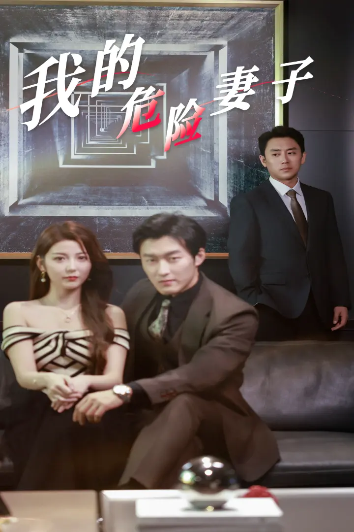 《我的危险妻子》全集高清完整版在线观看与剧情解析