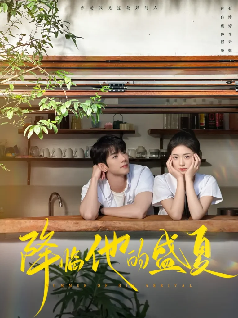 《降临他的盛夏》深度内容解析