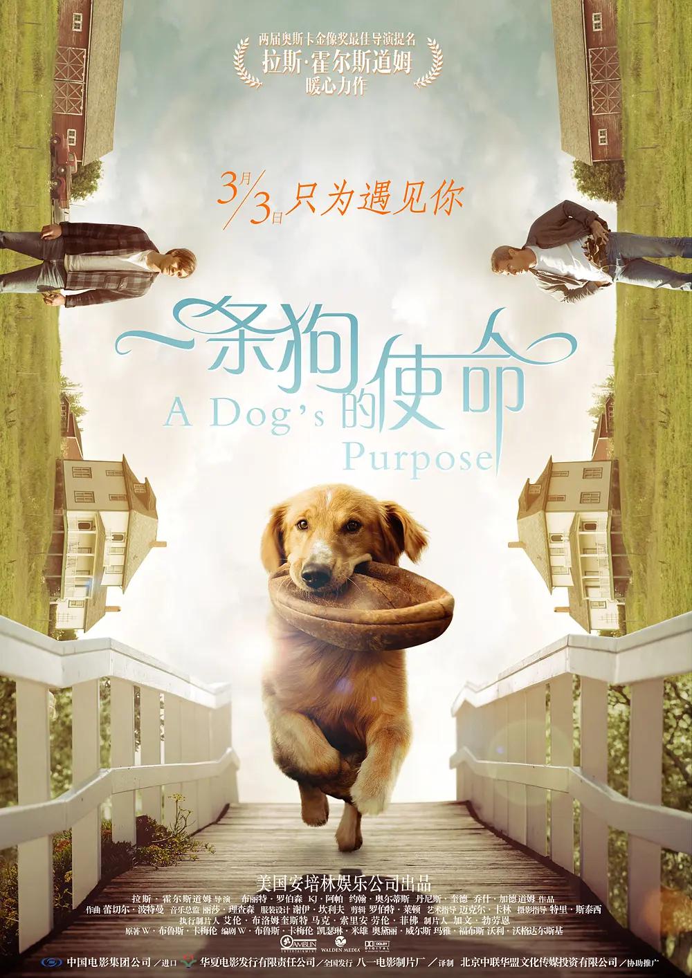 草莓丝瓜香蕉小蝌蚪绿巨人破解版(🍏)