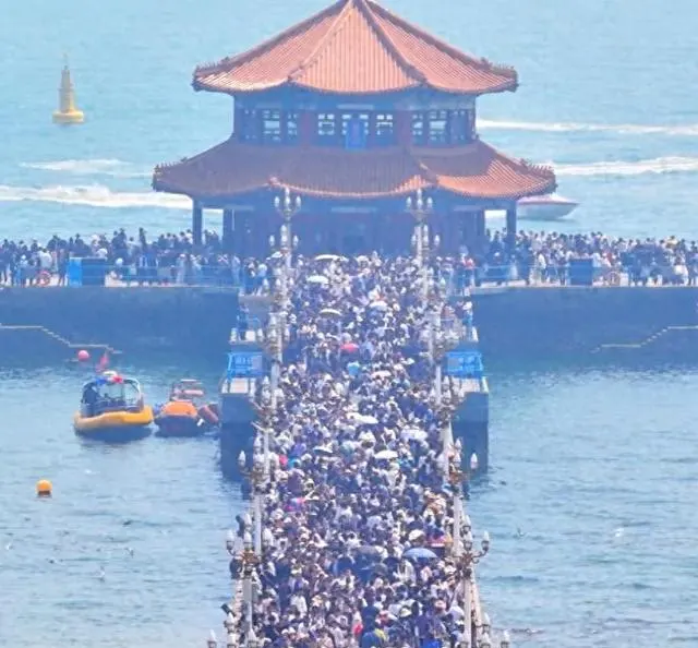《低智商犯罪》5月4日央视八套开播，王骁田曦薇王传君演绎生活流刑侦 | 资讯配图